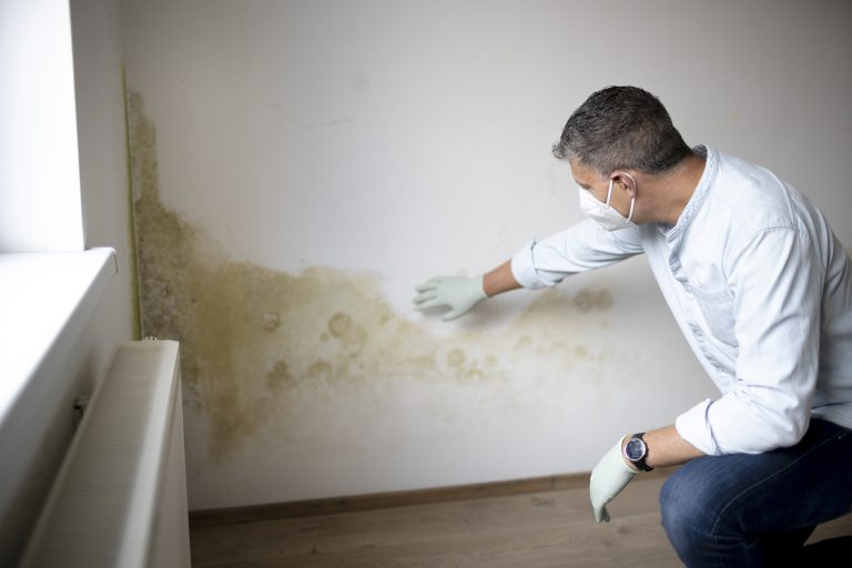 rising damp st albans